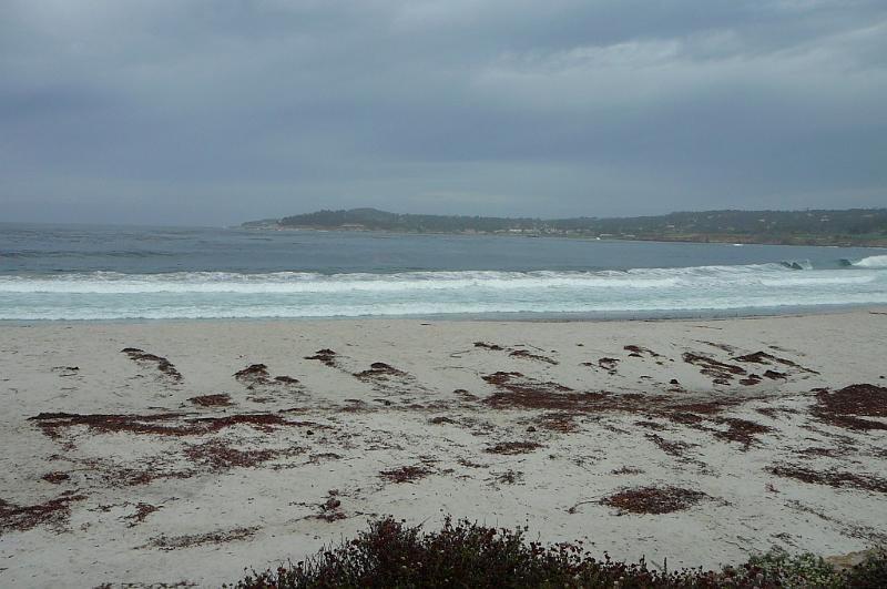 Carmel 10-30-08 236.jpg